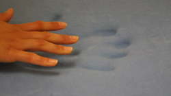 memory foam