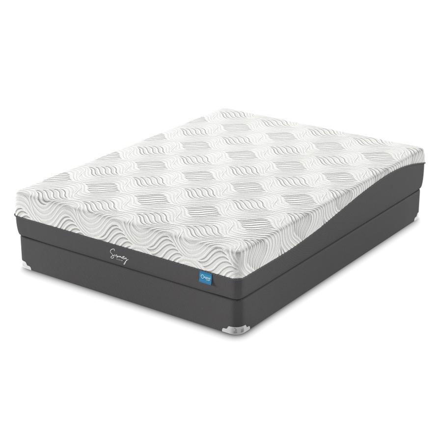 Twin mattress and shop box spring set