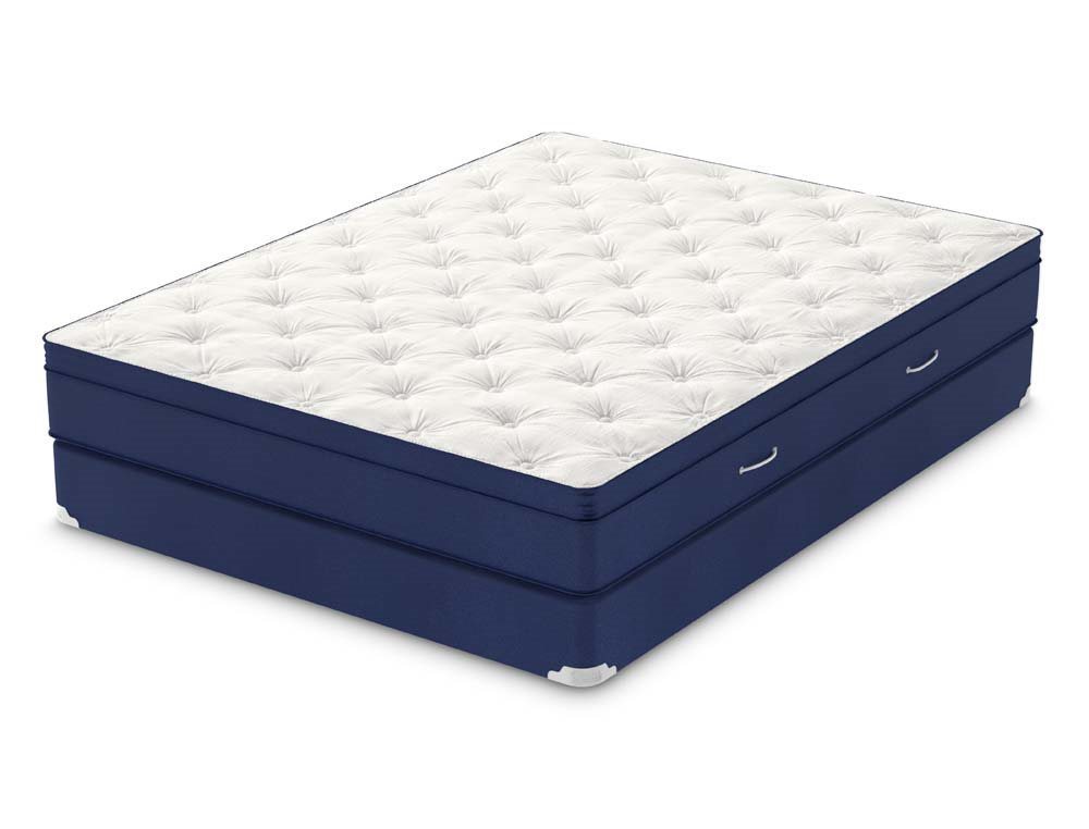 Ovation EuroTop three quarter view